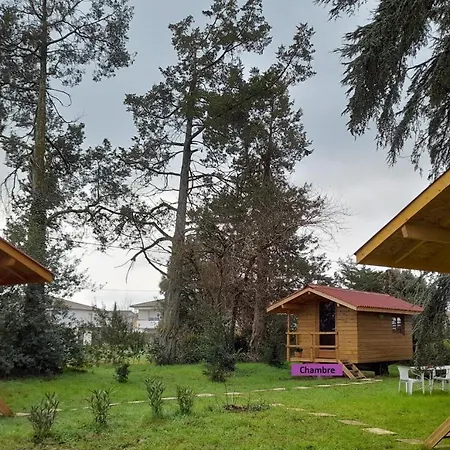 Lodge A L'ombre Des Cedres - Chalets Insolites *